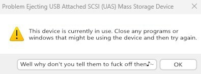 Windows dialogue about failing to eject an USB drive, because an application is using it. Aside of "OK", a new button says "Well why don't you tell them to fuck off♪~"